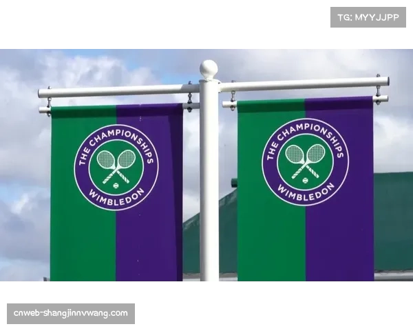 温网组委会就是否全面启用电子司线进行内部评估 温网组委会就是否全面启用电子司线进行内部评估